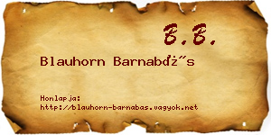 Blauhorn Barnabás névjegykártya